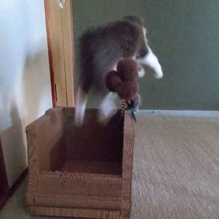 E0a53250 5707 430d a4fb 9f9cdd8b9bb1 1691882494053