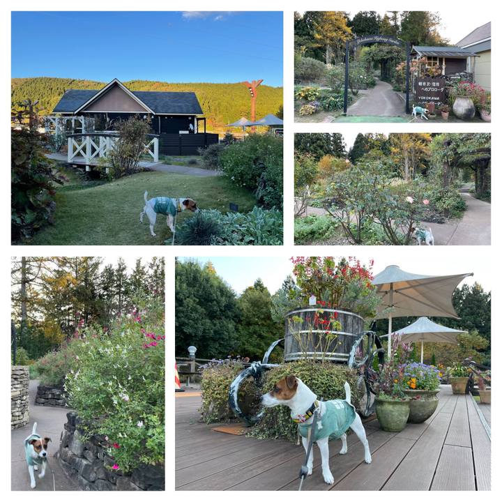 E0a535bd b0d1 431f 91ab f3f73b2dc8a6 1636105754354