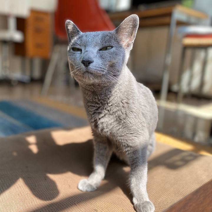 E0a543c1 5f5e 4857 8219 df4464376405 1586581598273