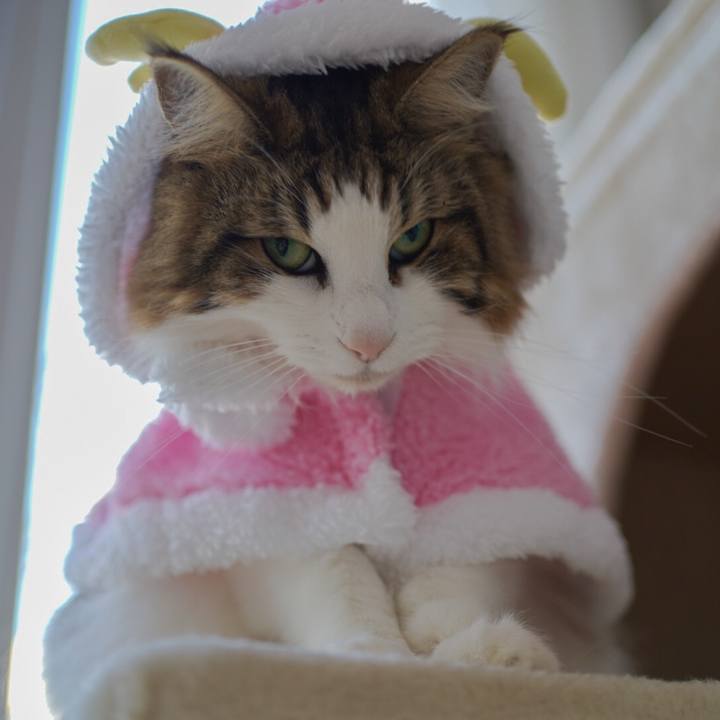 E0a54a3e ec54 4e19 9fbf 62919ec96d01 1608877363931