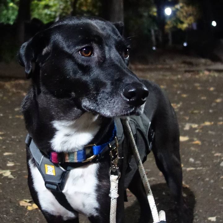 E0a5586c b3e8 413f 8505 ed3ea3756c0f 1637925489090