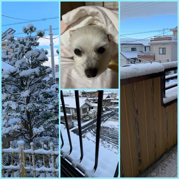 E0a55e53 d6f4 42a8 b72a 9e61a7aa3f1f 1640564263399