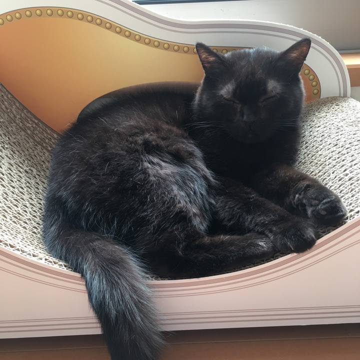 E0a5781d 81cc 4747 9352 ec21925f2733 1580955009518