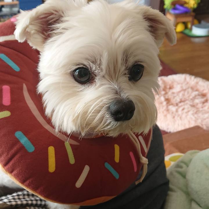 E0a57cf2 5a48 4d49 bf27 c0e5d7707359 1617938785656