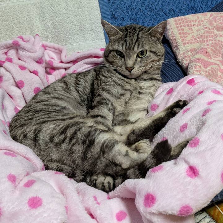 E0a57d3e 992f 4717 a46a 49aeca70276c 1739272760324