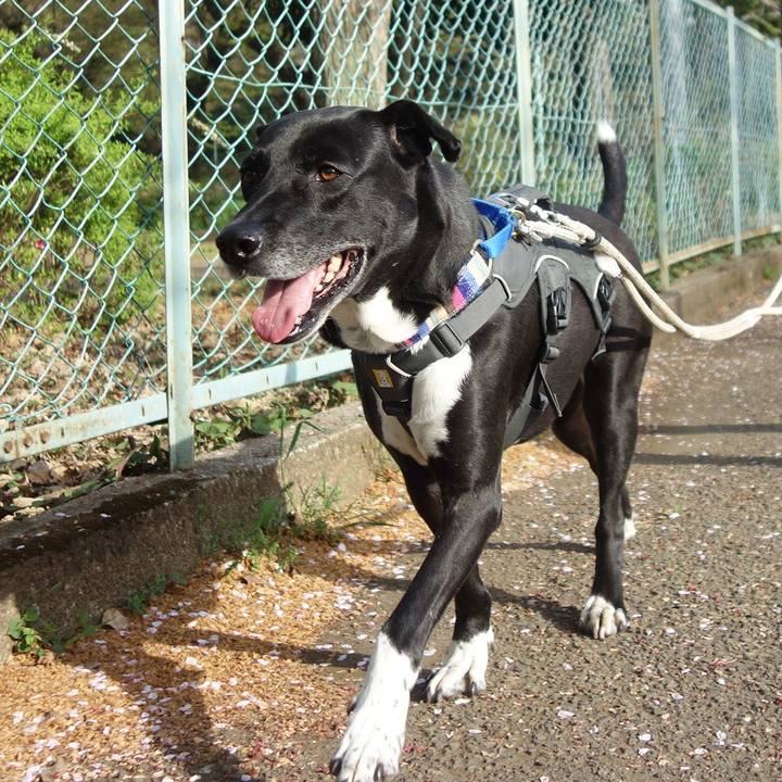 E0a5863b 80b1 49e9 8877 1d629903ee9f 1649636690685