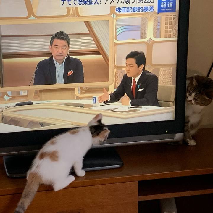 E0a59ae6 2009 44a0 9674 2bb8f0189894 1592108612082