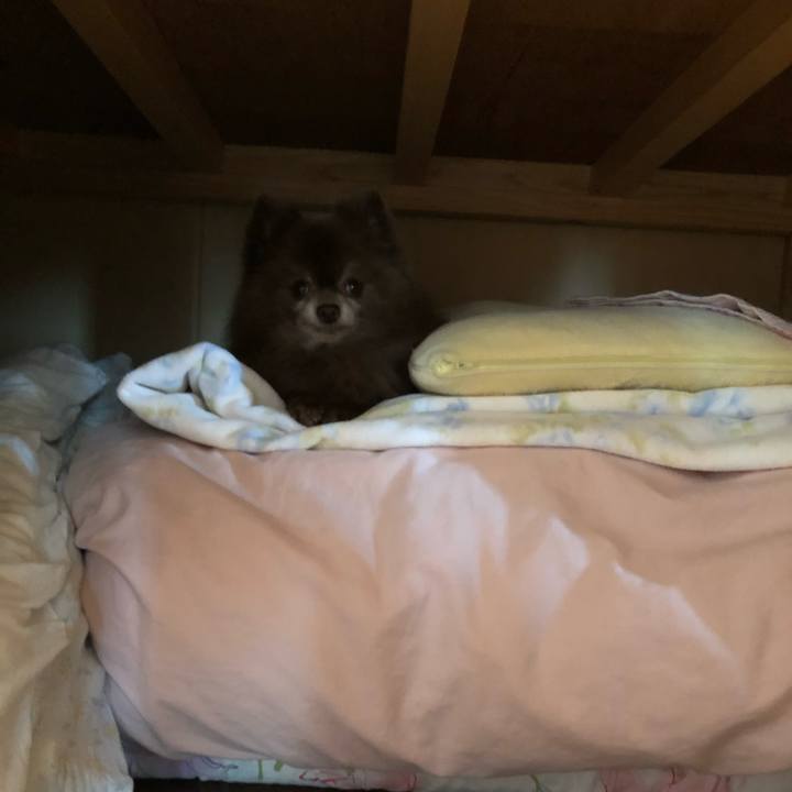 E0a5a421 8ac3 4fa7 808a 5b5b41d766cb 1608867070134