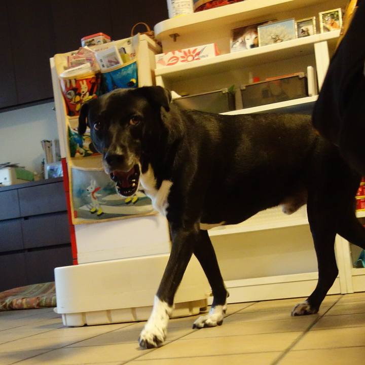 E0a5dcc1 6ef4 42d5 8684 425577136d2b 1689206220134