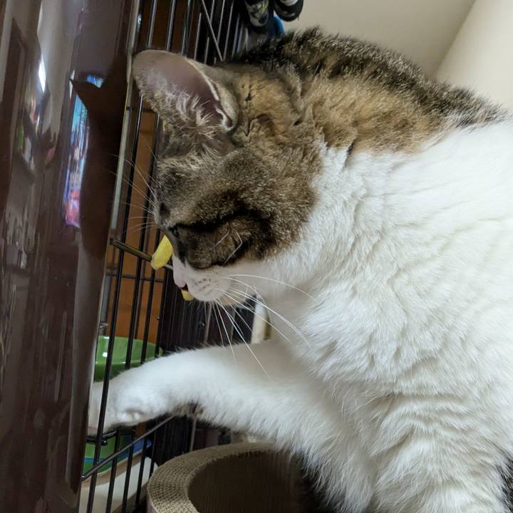 E0a601a3 4eb8 4a03 a385 3ebc850753c9 1732798123157