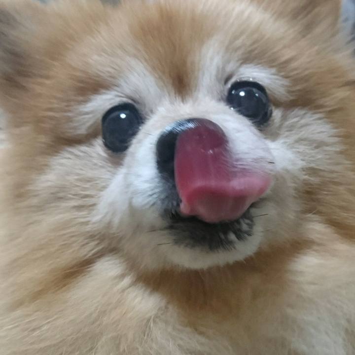 E0a60ca1 7a7b 43a7 8566 45ad98087e0d 1548911540282