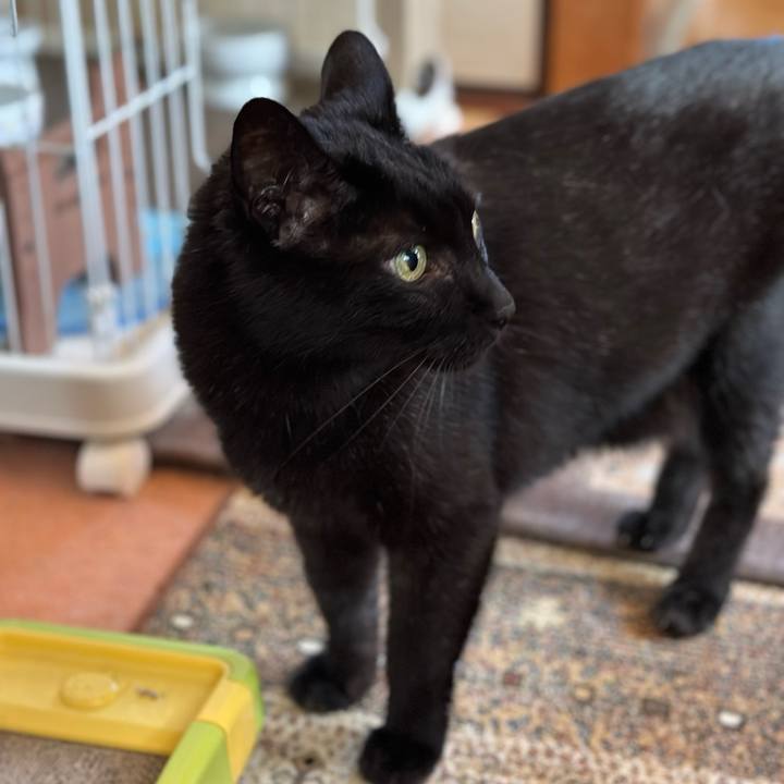 E0a631a1 2492 450e 8e26 37fad573888a 1685238018326