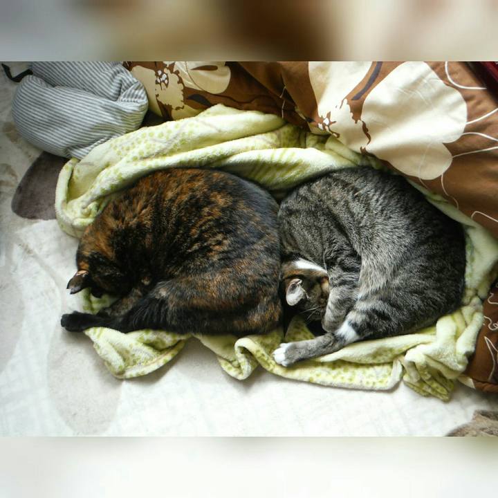 E0a67143 be06 4a32 9a81 aea3735f0c66 1518485549460