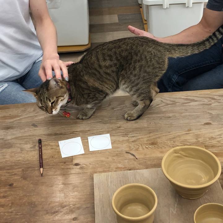 E0a72fcb d952 40ad 86de efb546fb2955 1654831724811