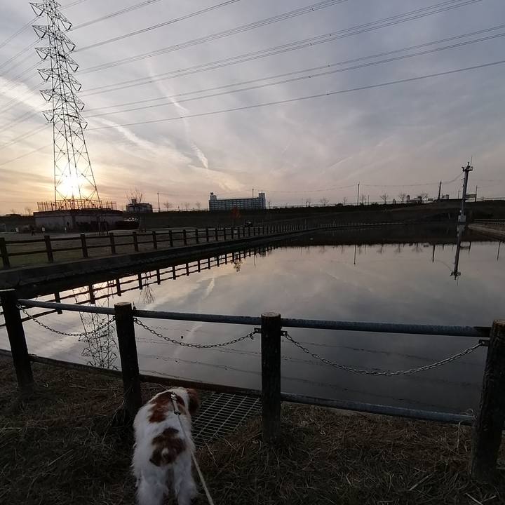 E0a73a36 99a8 4a39 92d8 478665295d4c 1577274423798