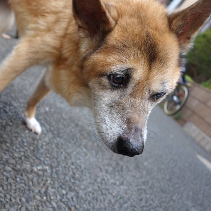 E0a7aa93 2b0e 44ae 8ce4 b57ec94d31cb 1566082966861