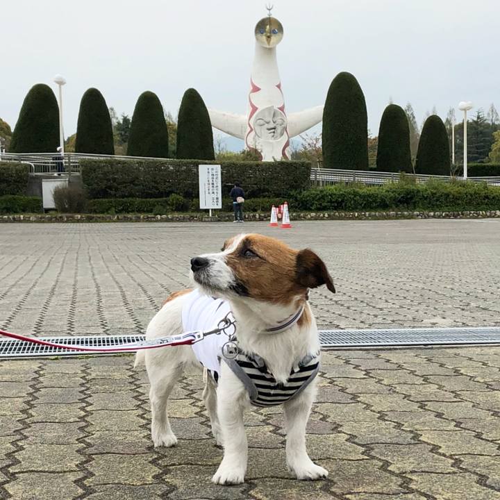 E0a7d84a 6fb9 4b2a b8cc d329dee0fcf7 1523279776824