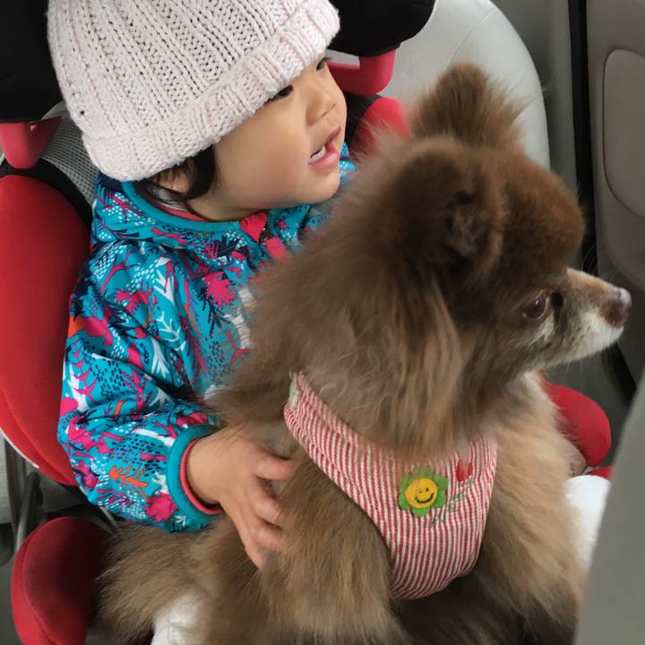 E0a7fa05 52ac 4848 861d cfd1dc314a7b 1522547072866