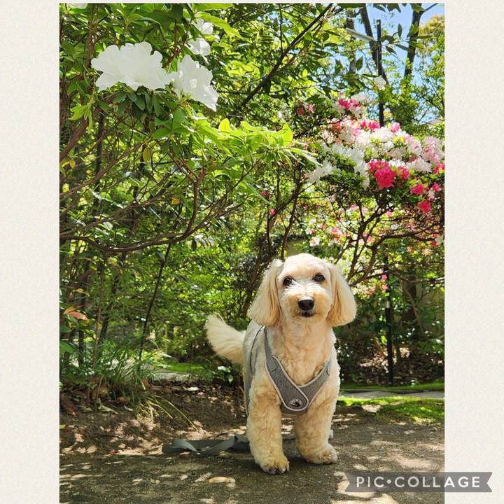 E0a80f59 c8b2 4004 b0ce 16a02fb4b9ba 1776133749978