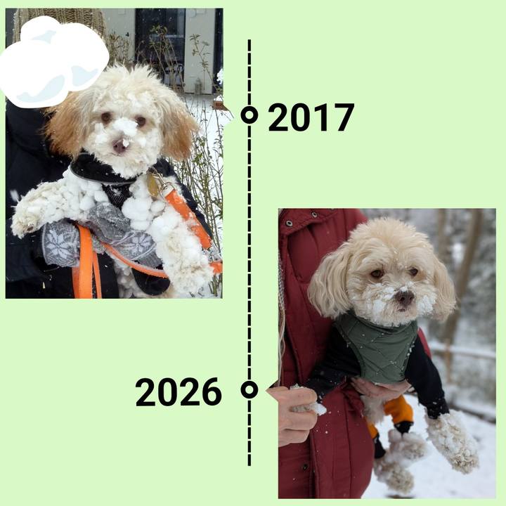 E0a81358 0cf5 47f0 9abf 845419062af3 1770537168289