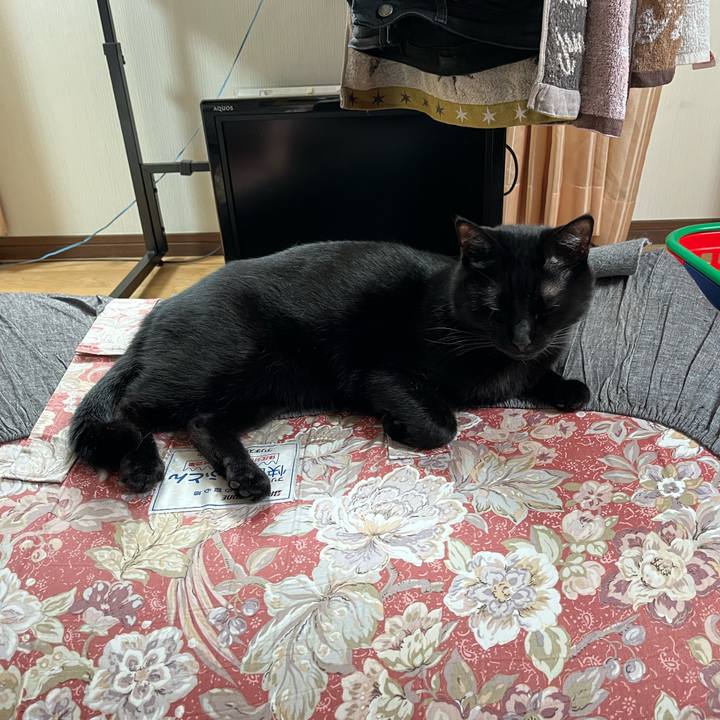 E0a81669 f518 4a47 83f5 dfcd7e514759 1651975415593