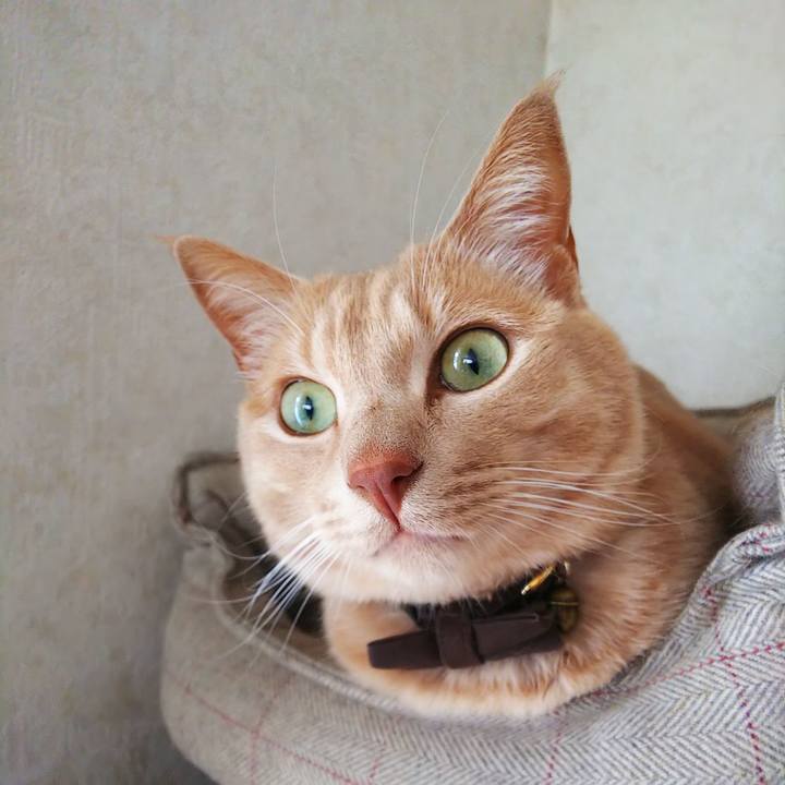 E0a8202c 84a5 4994 9ef3 9e90702690eb 1642308418705