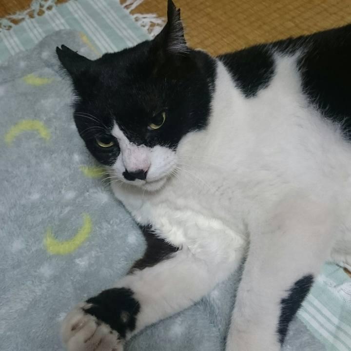 E0a8687d 1f5e 4532 8273 f7e69c11af48 1510053361916