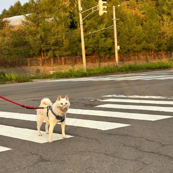 E0a86a06 9279 4c33 b156 1b013e0afd31 1759094882084