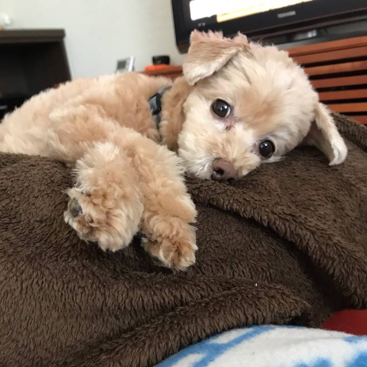 E0a889c7 058c 43b5 a359 8ac3f3c1aecd 1539857104821