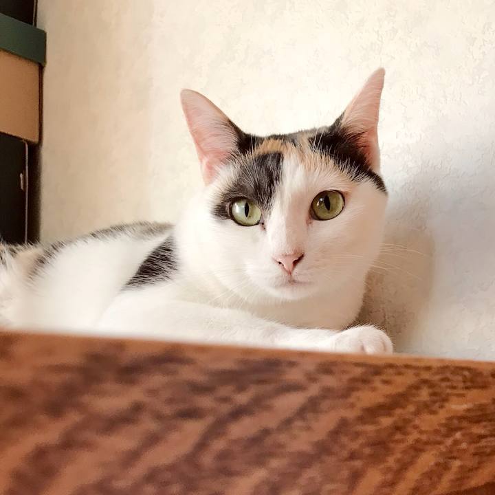 E0a89584 fd5d 4768 9e9d d72220babf43 1536678531028