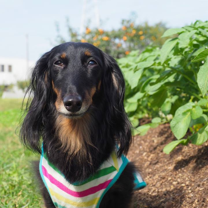 E0a8b1aa 5daf 4e28 a941 42a4efbac3ea 1633743322445