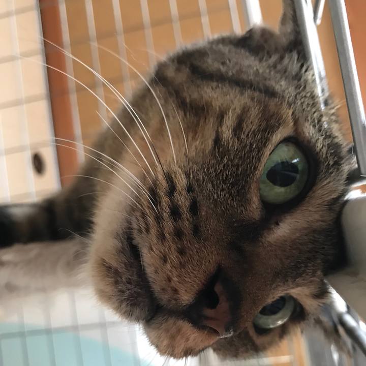 E0a8ebdd 2568 41fe af62 ee588b9a0abb 1531530533395