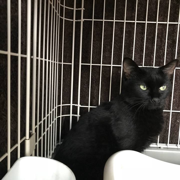 E0a95127 e42f 40fd b9f7 c8f4faebac43 1509060521999