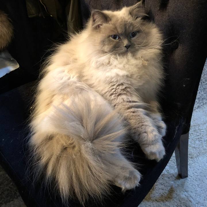 E0a98b6f 0233 4202 940b 05ff79aaa6b9 1668918858052