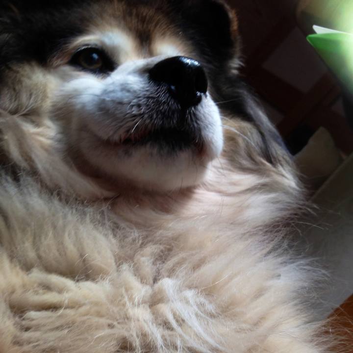 E0a9a942 948f 4b82 9383 7a510f41db42 1571893860868