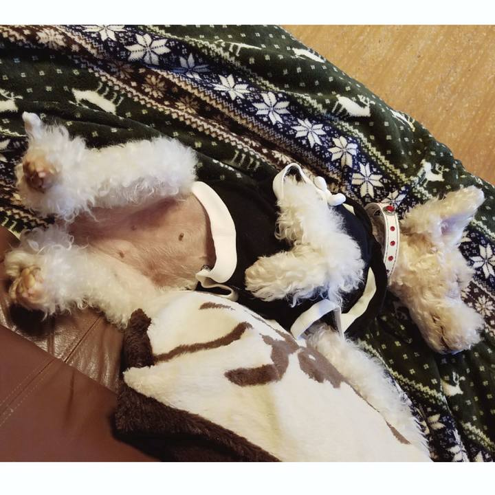 E0a9baf0 2341 4847 a801 ed354d3fe699 1511478491459