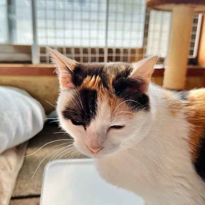 E0a9be52 f7b8 4f22 881d d3c579507cea 1714098332781