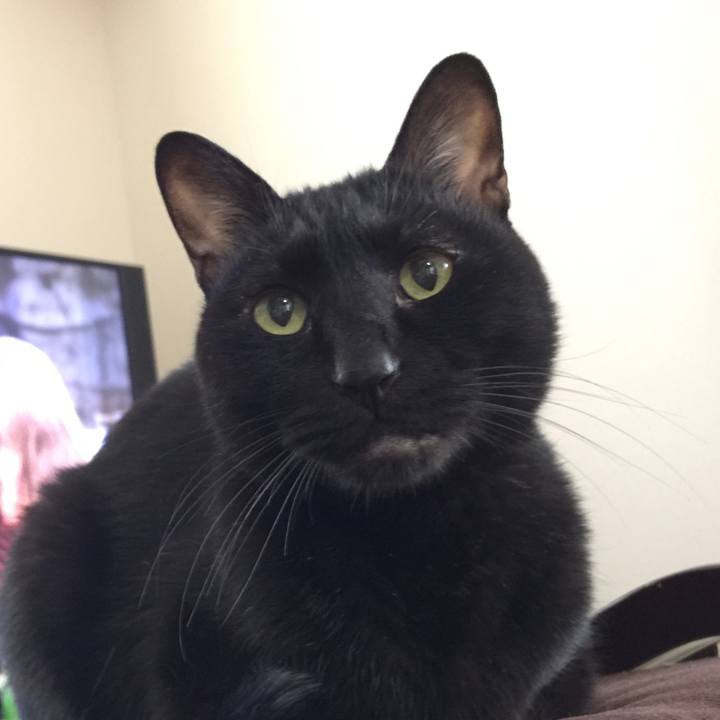 E0a9f9b6 6afa 4584 a81b 5153bb7cef28 1582353606173