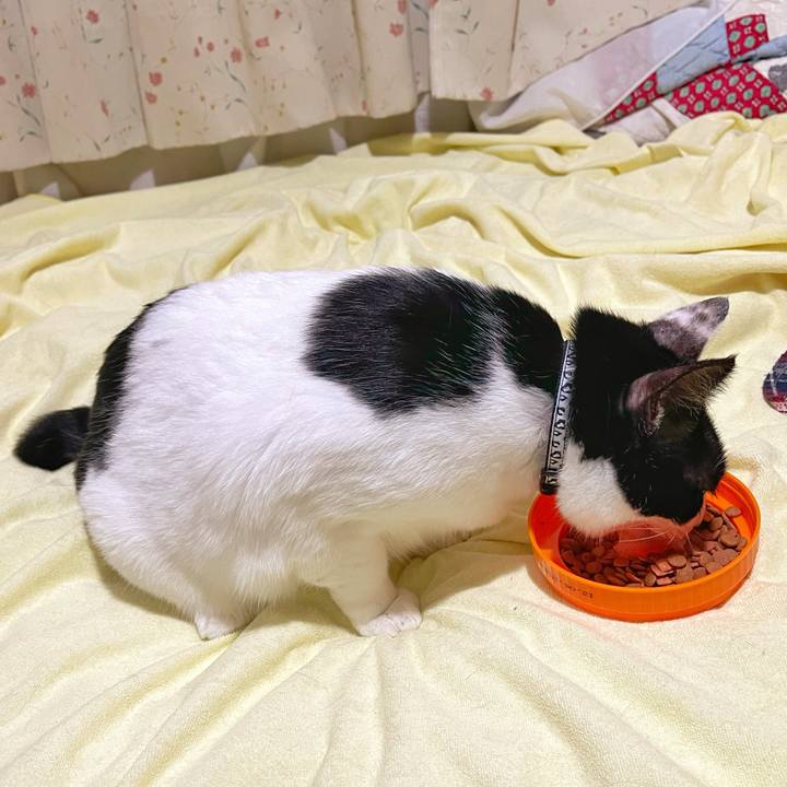 E0a9fa0a 6fc9 4972 9f7e a7725b308c59 1754797888835