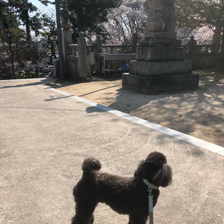 E0aa1917 8724 49be 9fd6 800b0b8f75fd 1585991872669