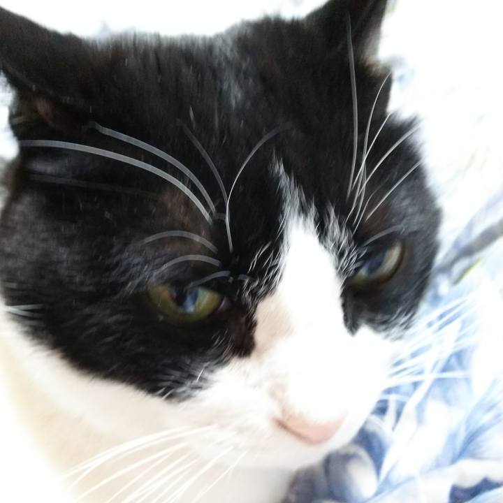 E0aa20c1 3112 40bb 9702 499291916092 1546643488897