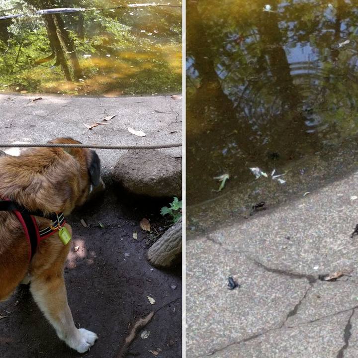 E0aa3728 822c 43ab 9cf0 f275f50fbac2 1526001163931