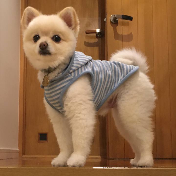 E0aa3a48 04ca 4da4 bc6f 1a48e75fc155 1616370506988