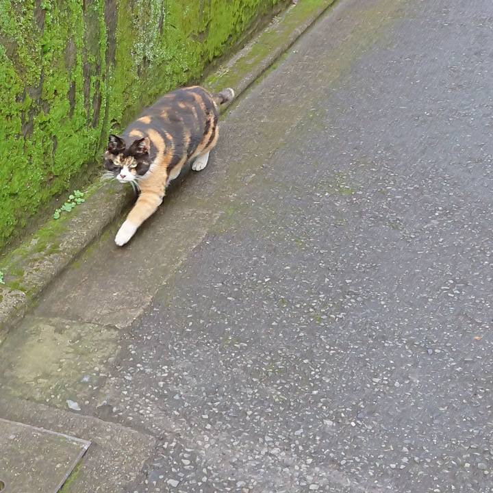 E0aa42b6 d9de 437f a6f4 1922a6de86a5 1680147573702