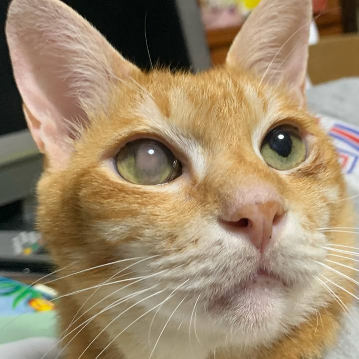 E0aa4848 a859 4a29 a60c 67a496dbb1de 1627905840036