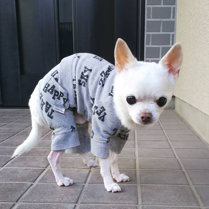 E0aa7080 f25c 4ac2 b3b1 59240a84ec44 1543699919202