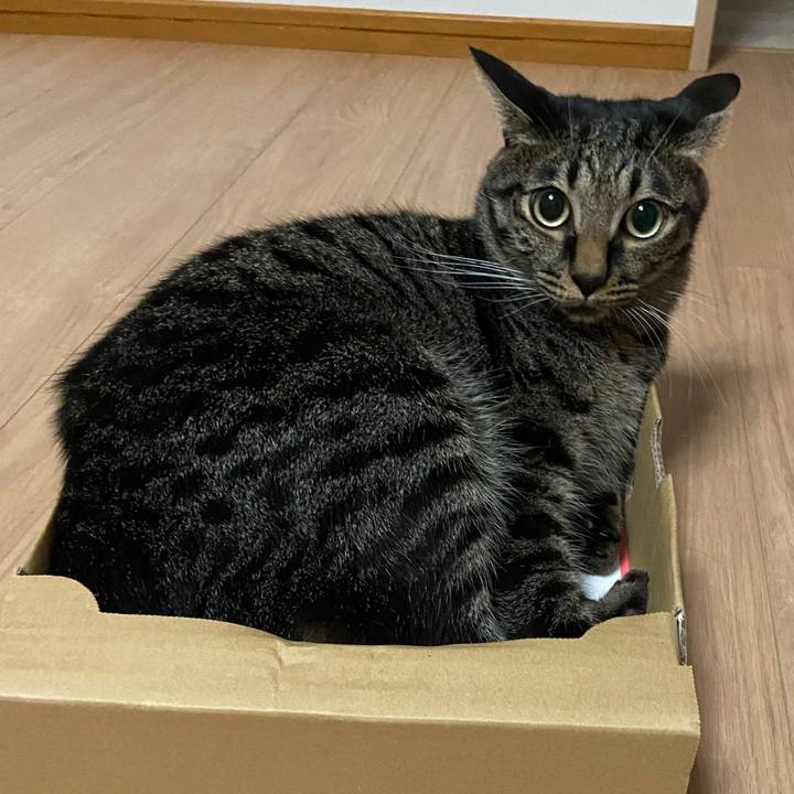 E0aa9bb0 a03e 43d8 87d9 51fd4650cc61 1664193062022