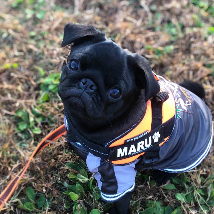 E0aae5f1 4134 47b3 a9b4 7725b4e9e968 1604835147494