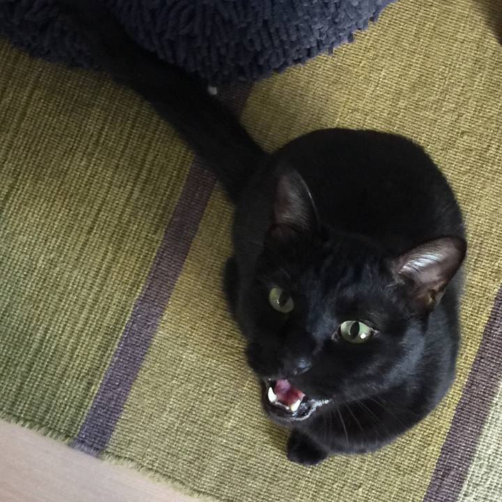 E0aaeaee 5d59 4f5d 8e82 36d84843346c 1578021044125