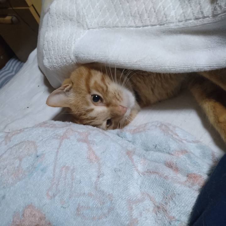 E0ab0341 2319 4a1a a182 20bcd07e31a9 1678401813502